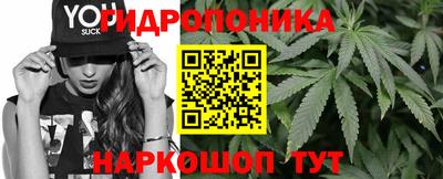 MDMA Можга