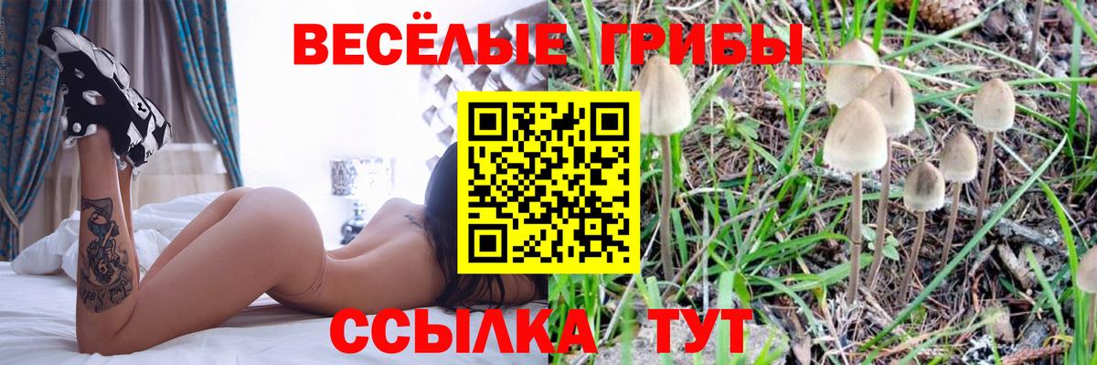 Галлюциногенные грибы MAGIC MUSHROOMS  Галлюциногенные грибы GOLDEN TEACHER  Братск  Вход с VPN 