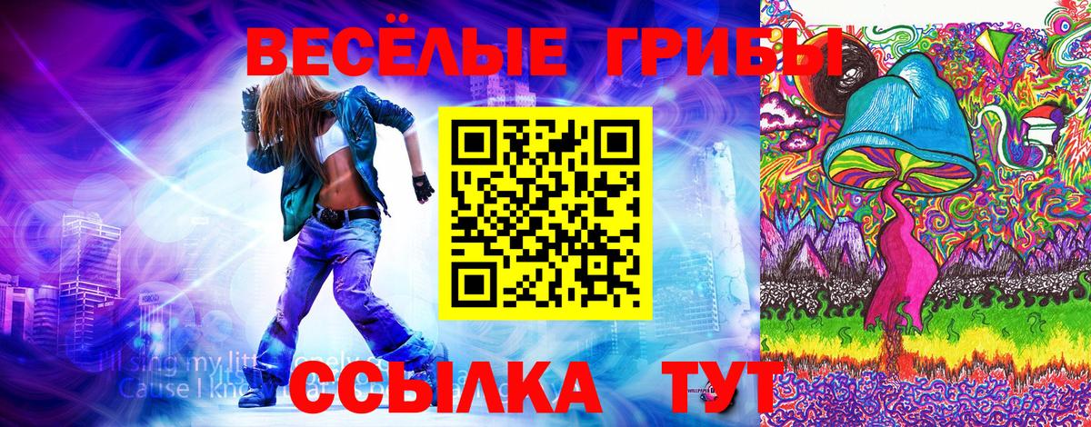 Галлюциногенные грибы Magic Shrooms Братск